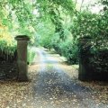 F1100018.JPG-1.jpg.jpg
