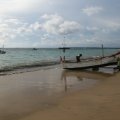 IMG_2931.JPG-1.jpg.jpg